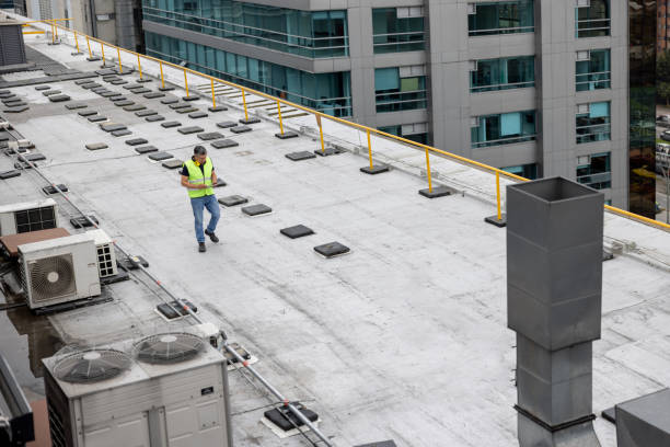 Best Green or Eco-Friendly Roofing Solutions  in Newcastle, WA