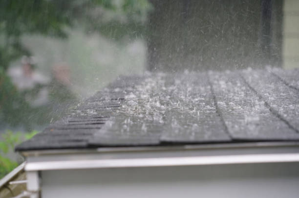 Best Sheet Metal Roofing  in Newcastle, WA