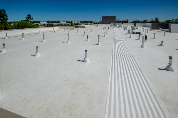 Best Gutter Installation and Repair  in Newcastle, WA